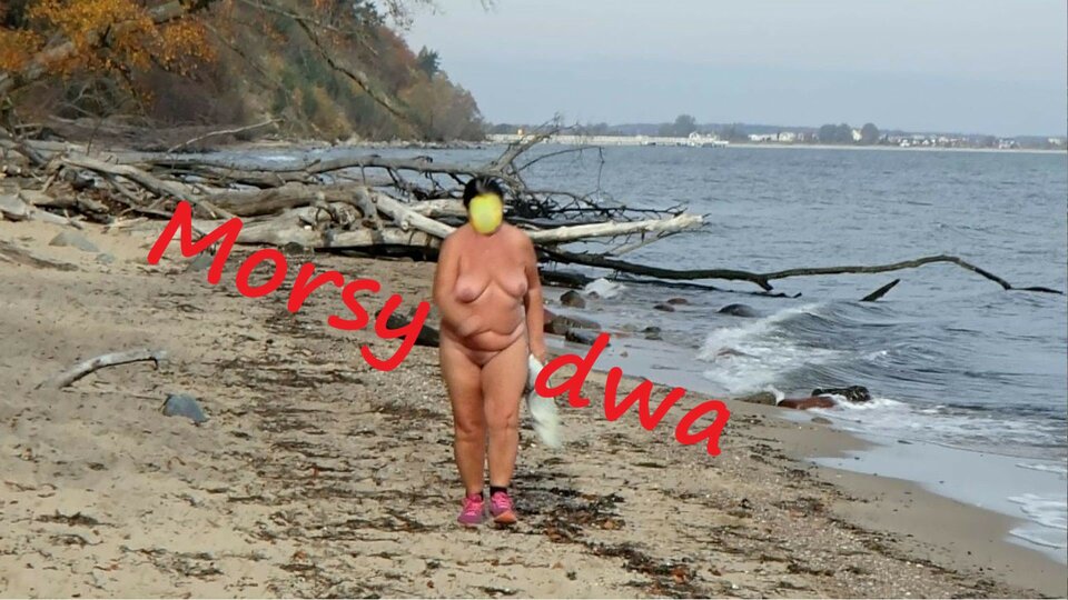 28 X 20 Babie Doły - Morsy_dwa