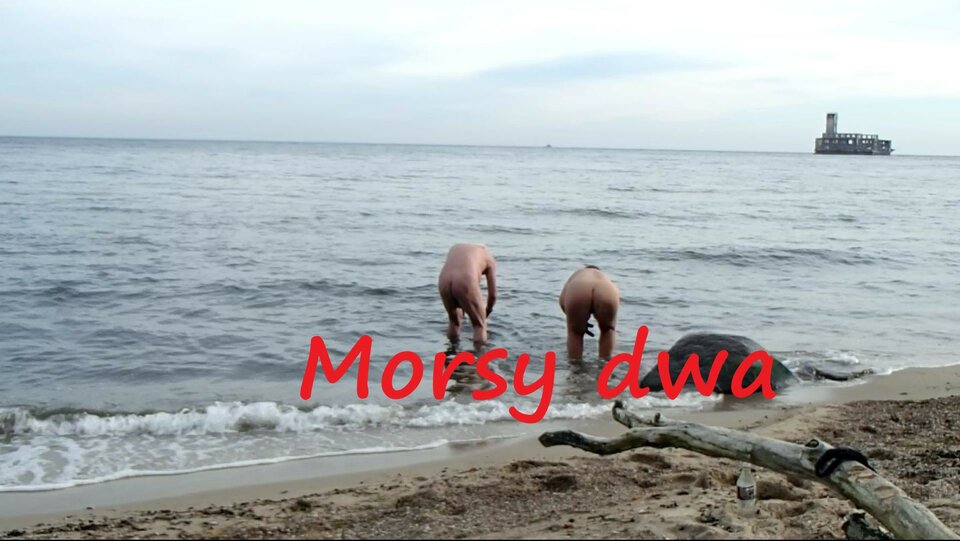 28 X 20 Babie Doły - Morsy_dwa