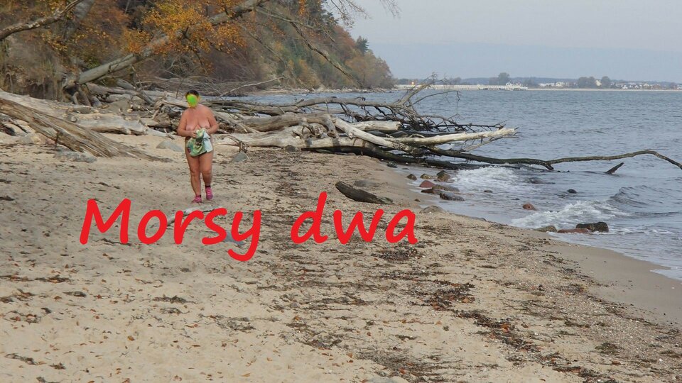 28 X 20 Babie Doły - Morsy_dwa