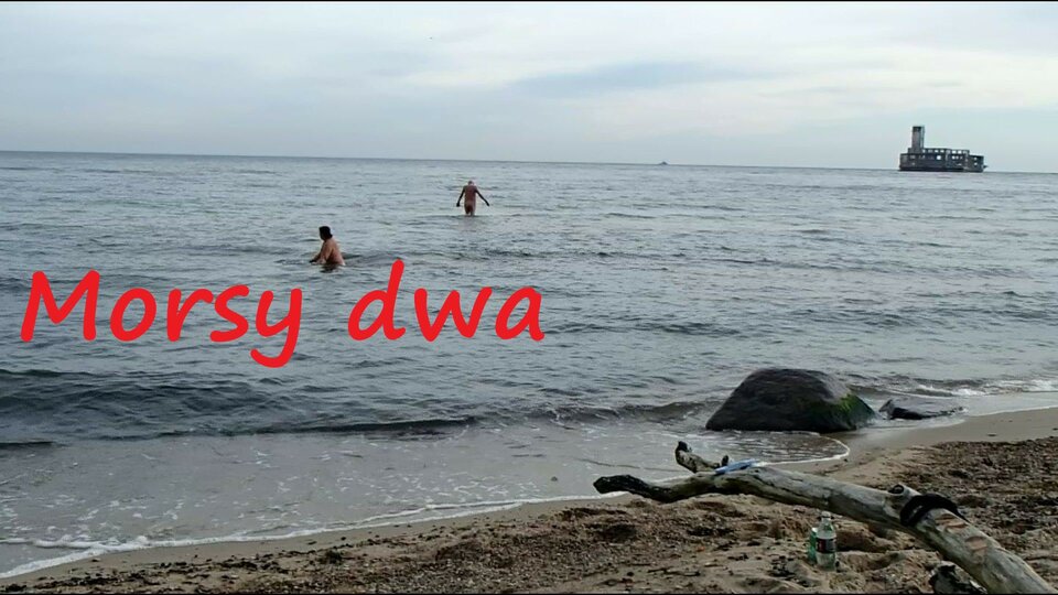 28 X 20 Babie Doły - Morsy_dwa