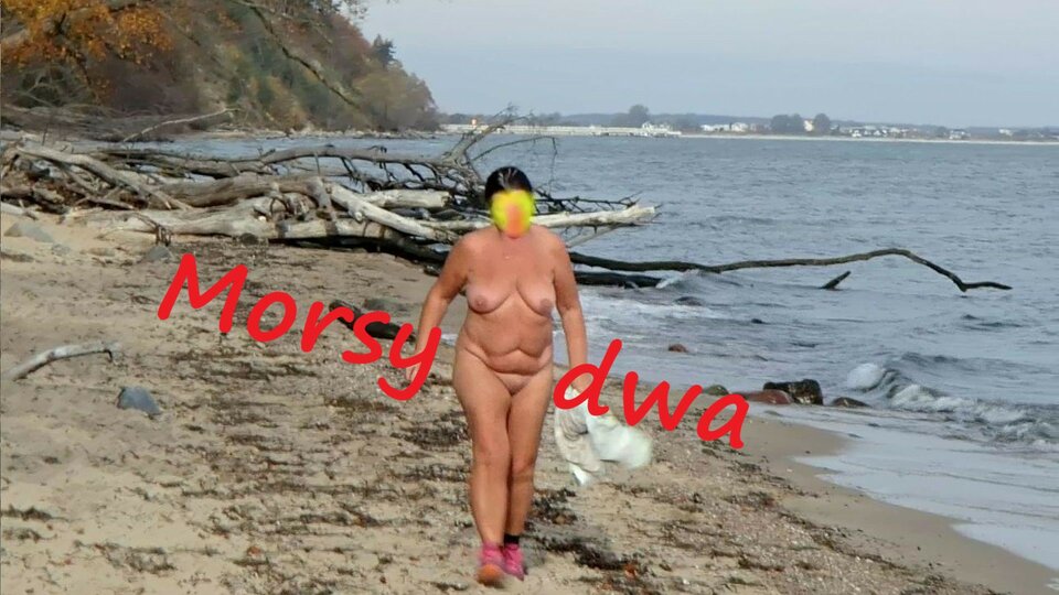 28 X 20 Babie Doły - Morsy_dwa