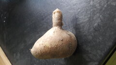 20201025_140347.jpg