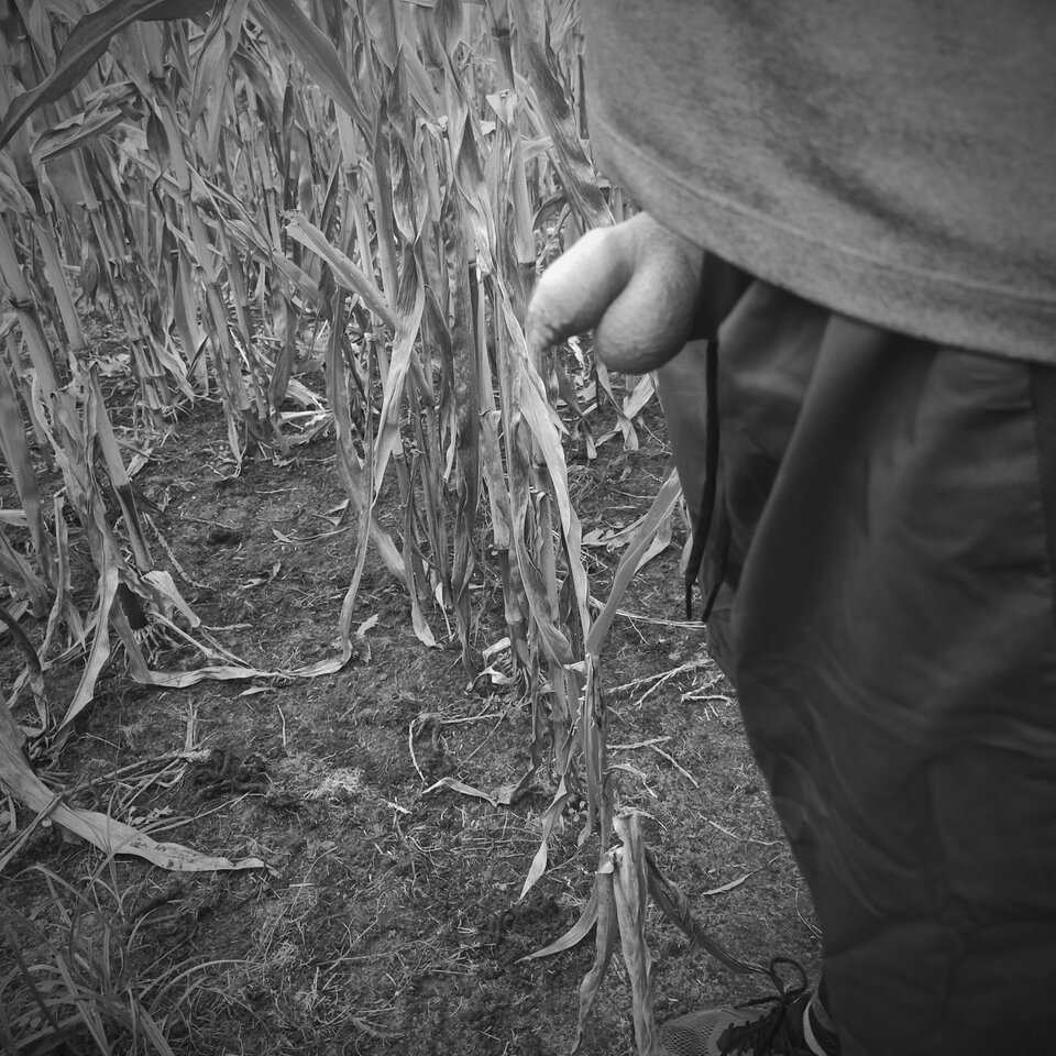 mała przerwa w treningu - miki842