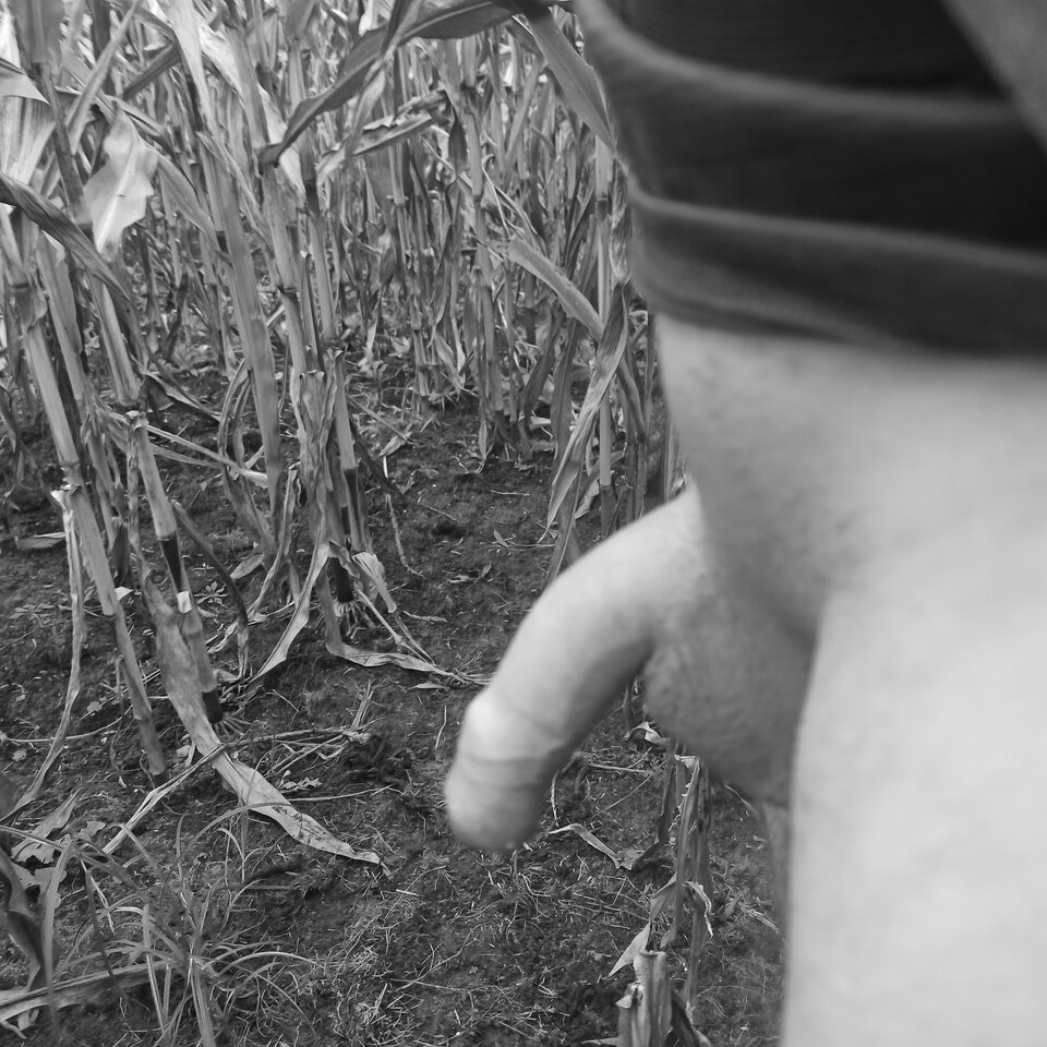 jest ochota - miki842