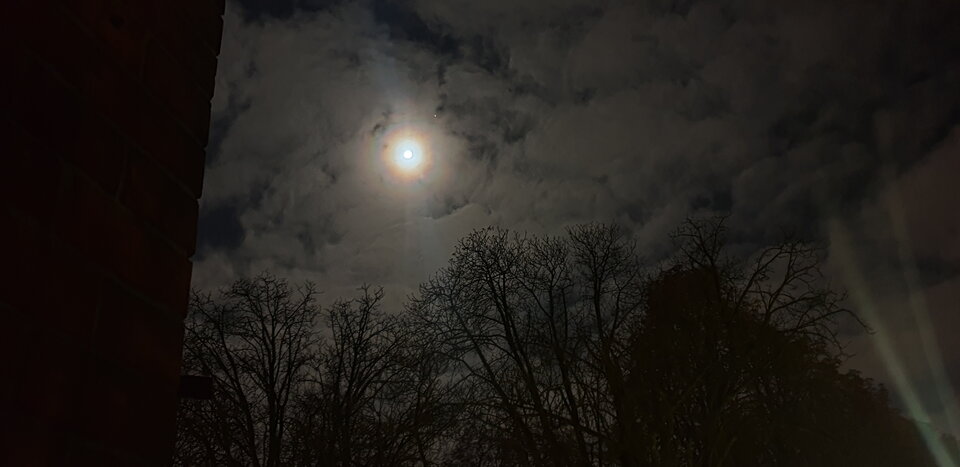 20201029_222624.jpg - MarekSzc33