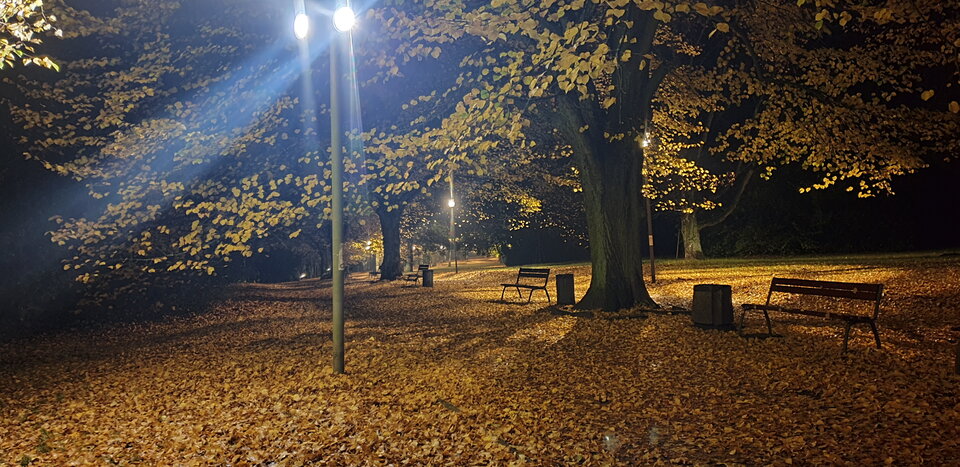 20201030_040118.jpg - MarekSzc33