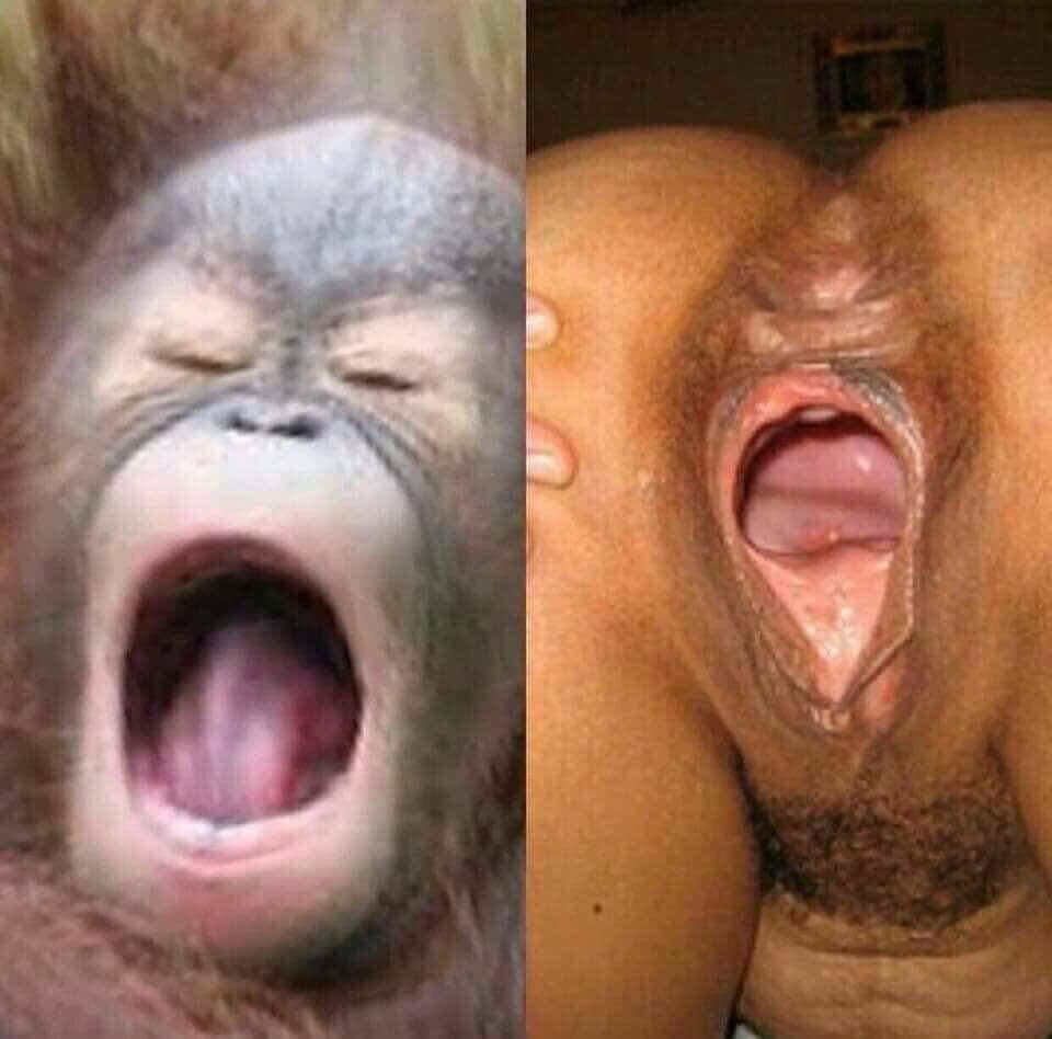 received_279236680084517.jpeg - Dejmon2405