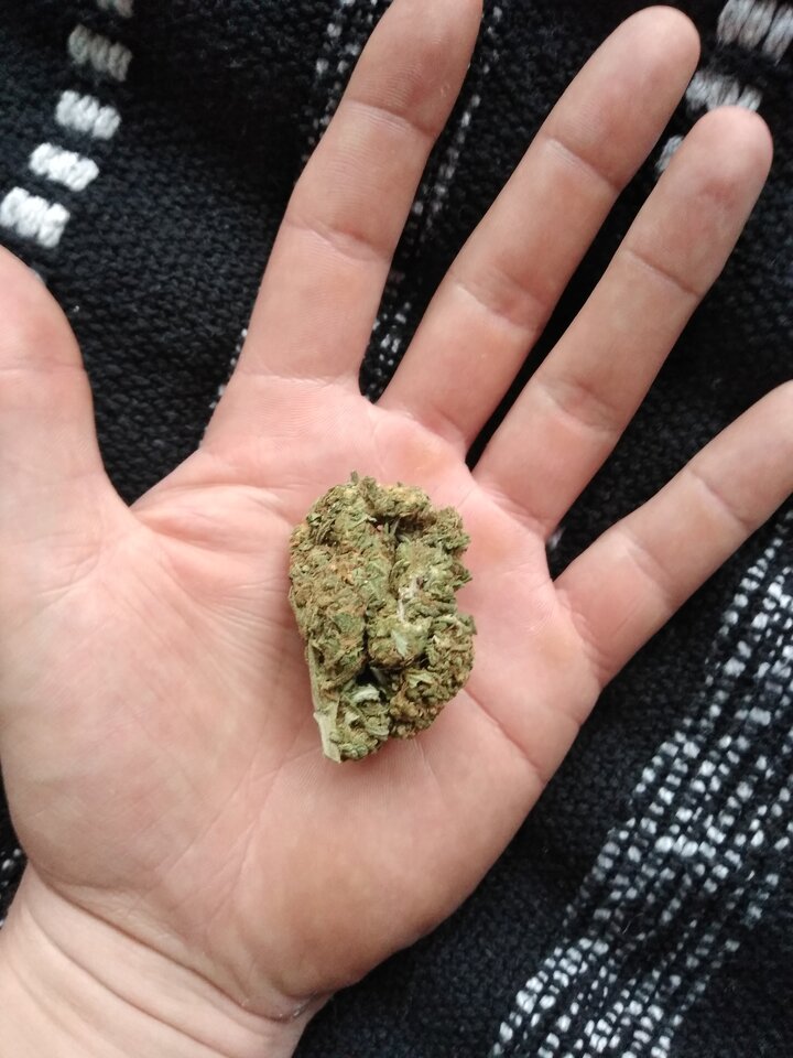 IMG_20201031_101543105.jpg - WroclawTruckDriver