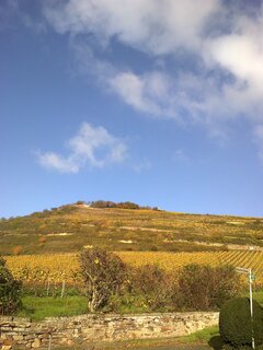 20131113011.jpg