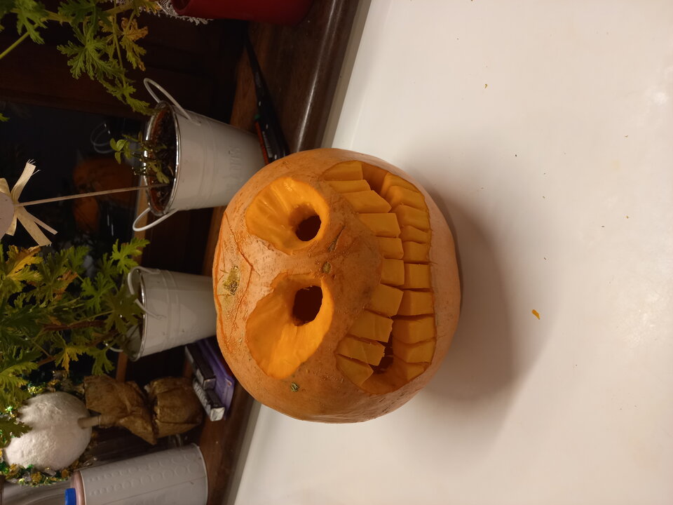 20201024_212612.jpg - jebasKujawy