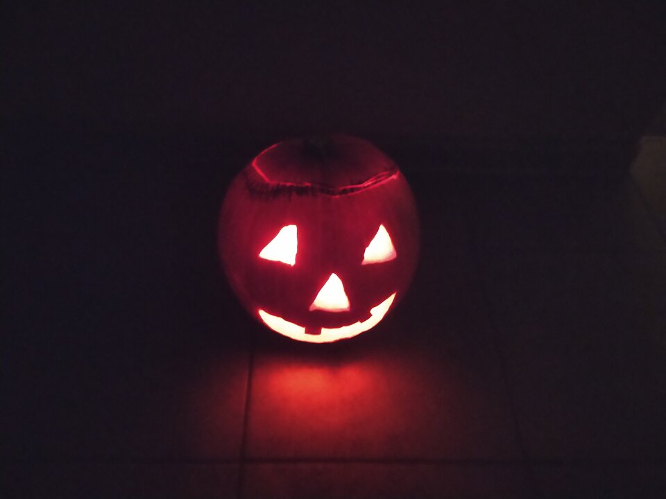 IMG_20201031_175749.jpg - Nexxuss