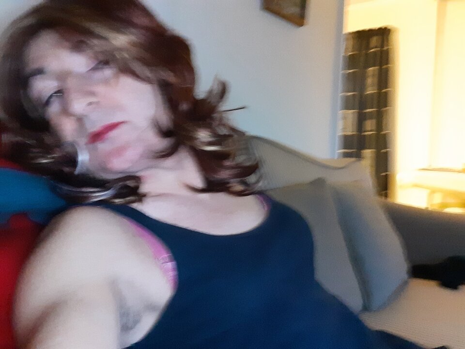 16042149188975281119031518036698.jpg - Palciusia