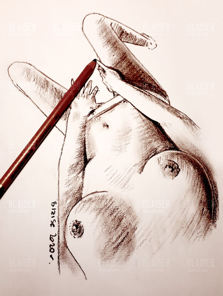Art. No.64 - blaise8