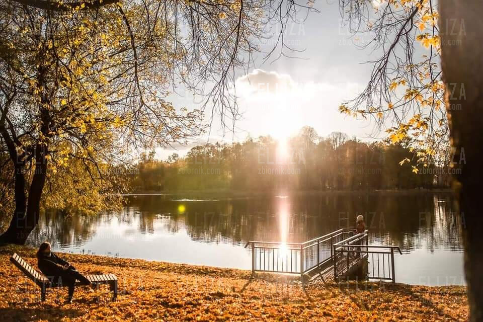 FB_IMG_1604235923168.jpg - Elliza