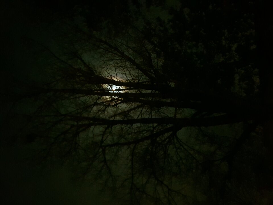 20201102_015829.jpg - robsxxxx