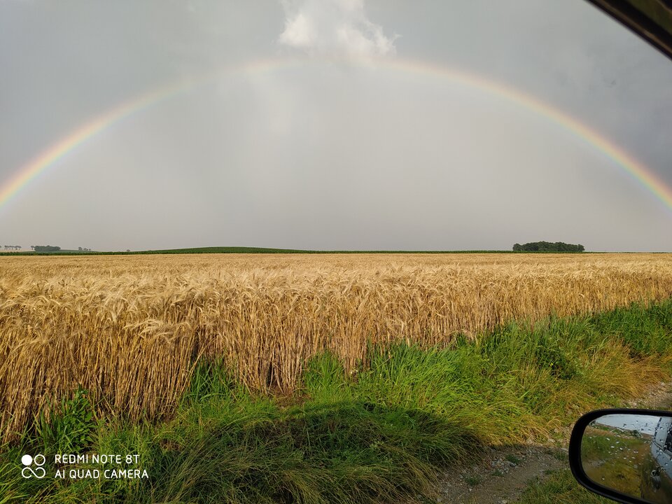 IMG_20200720_183249.jpg - DS_