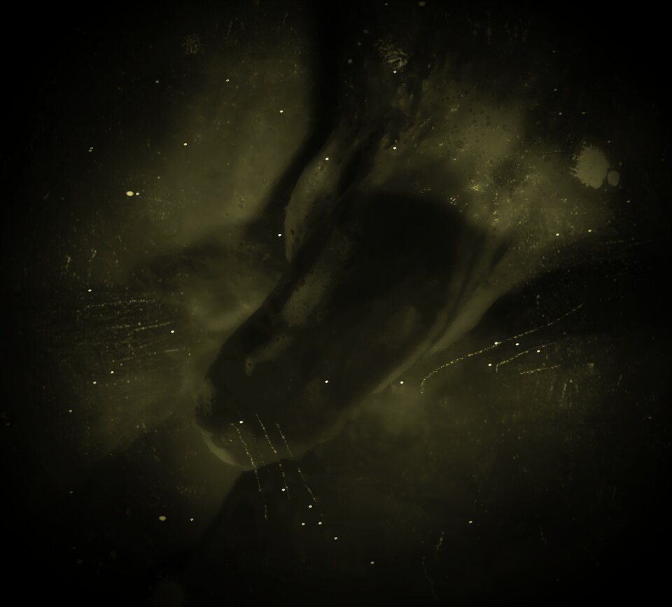 IMG_20201102_222725.jpg - Shenzhen85