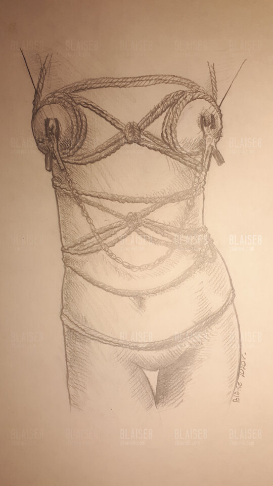 Art no. 65 - blaise8
