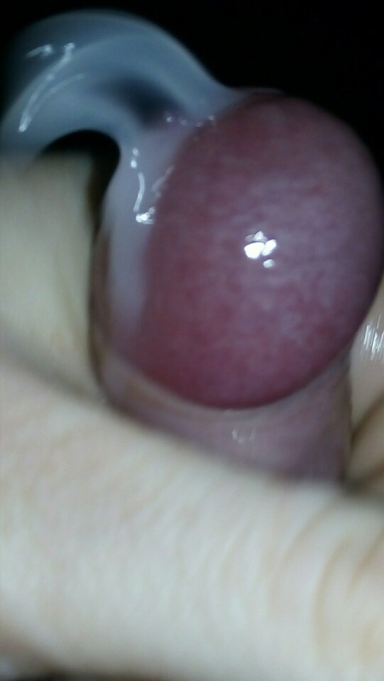 IMG_20201103_104508.jpg - Tomek698107