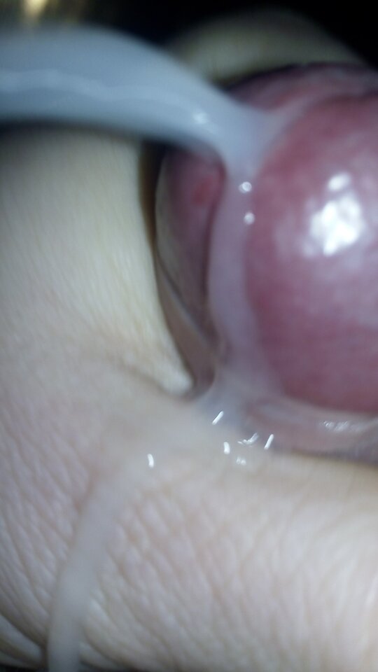 IMG_20201103_104432.jpg - Tomek698107