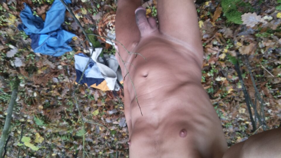 20201103_103954.jpg - martin120174