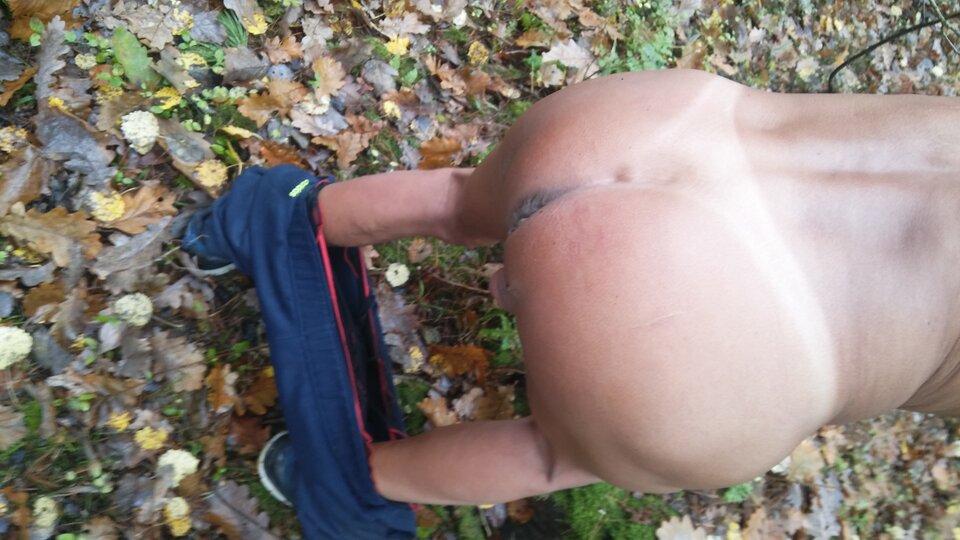 20201103_104045.jpg - martin120174