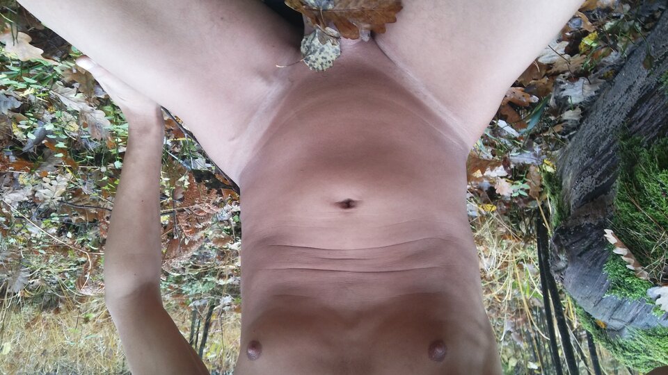 20201103_104258.jpg - martin120174