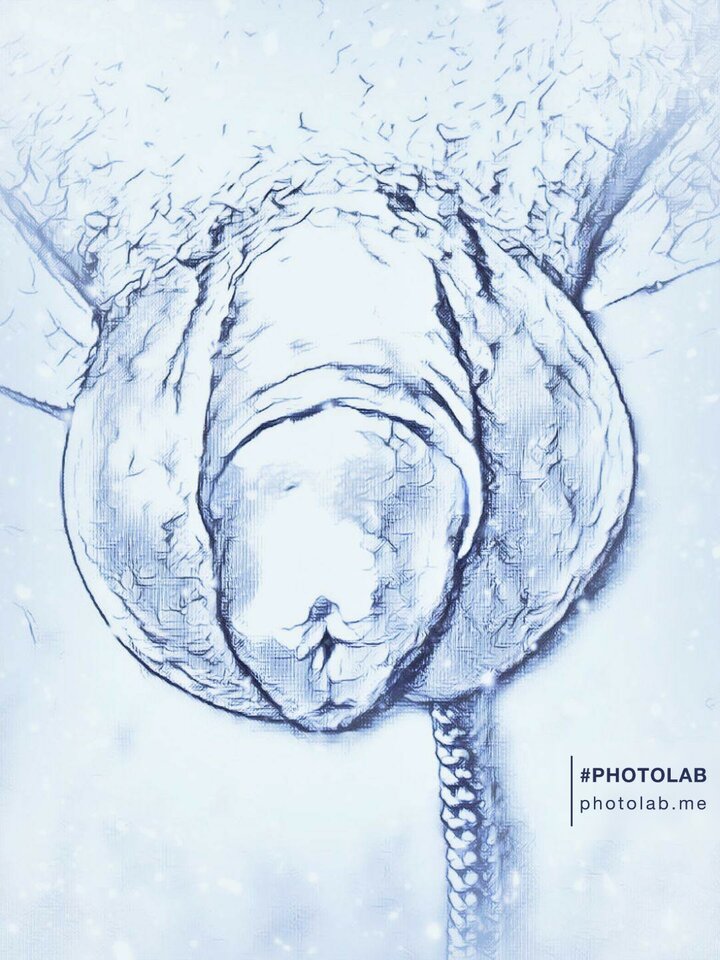 8488b85b-2482-4074-a4ac-540cd8e20b77.jpg - dino8