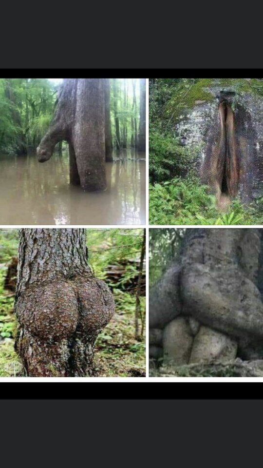 E21E1182-D2C0-4457-BE5D-3CADADC08B03.jpeg - lovinglovers