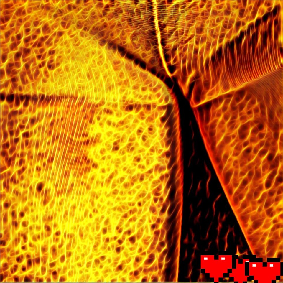 20201104_151722.jpg - MBSL