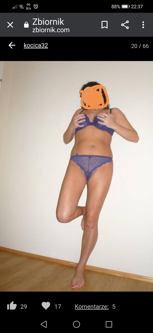 kocica32