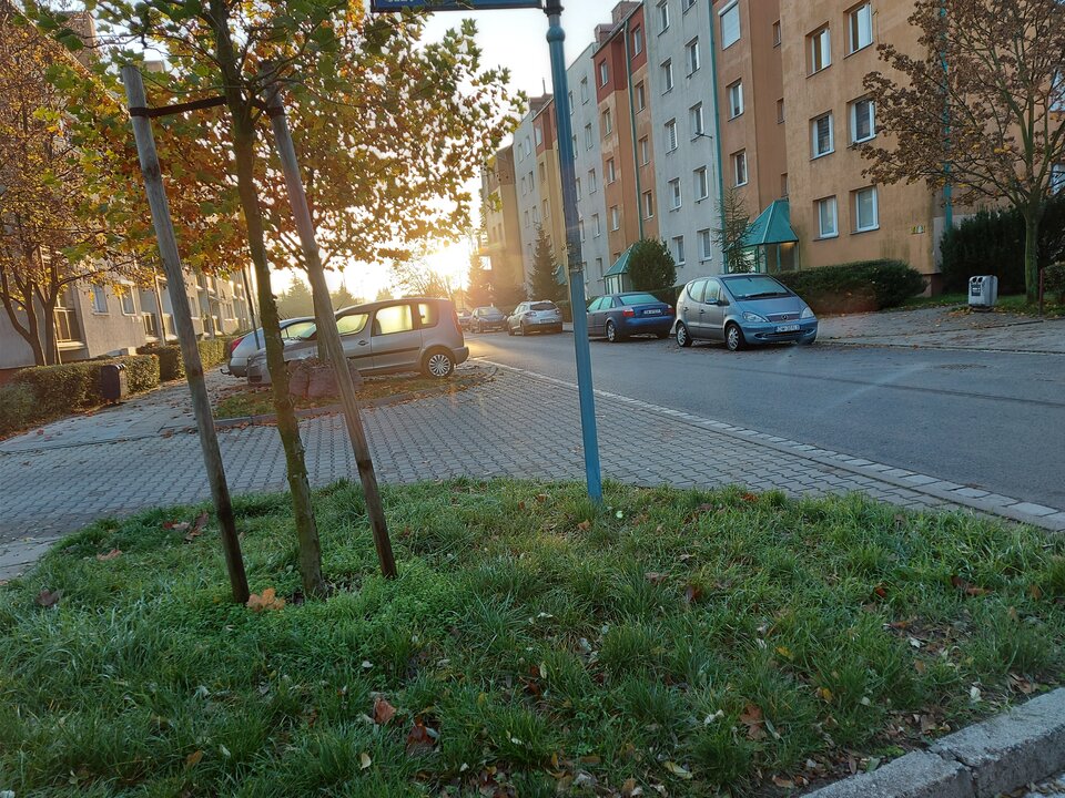 20201105_072418.jpg - A7REPPU