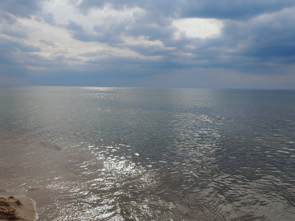 20200821_164752_HDR.jpg - Voltz1975