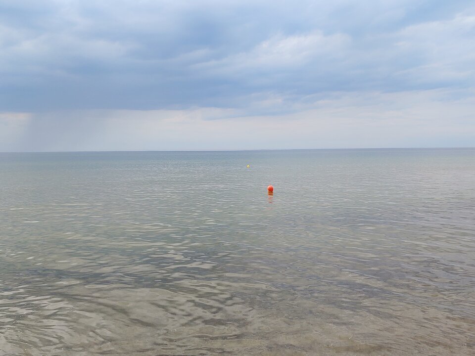 20200821_164800.jpg - Voltz1975