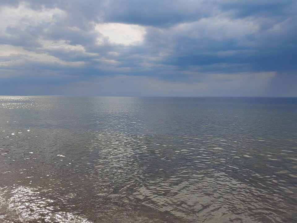 20200821_164754_HDR.jpg - Voltz1975