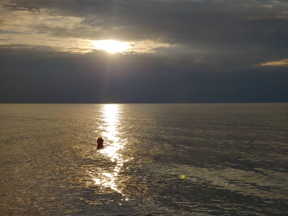 20200820_191453_HDR.jpg - Voltz1975