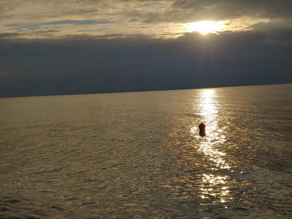 20200820_191524_HDR.jpg - Voltz1975