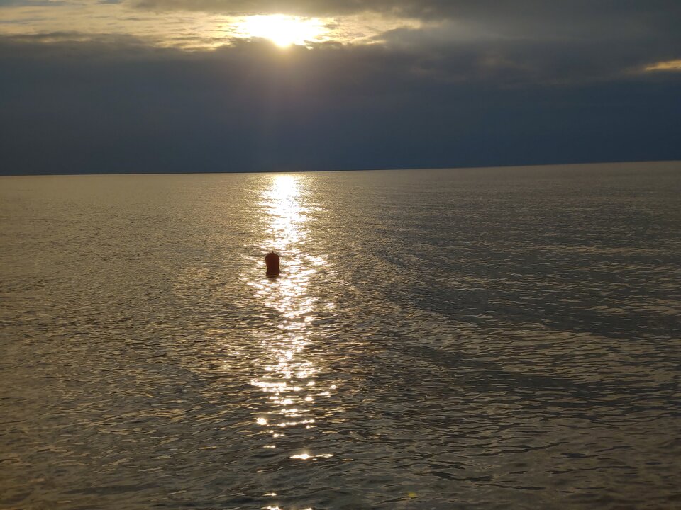 20200820_191519_HDR.jpg - Voltz1975