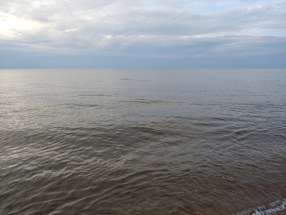 20200820_190337.jpg - Voltz1975