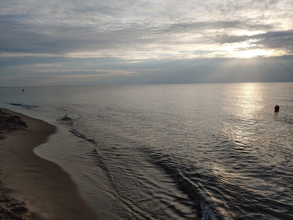 20200820_190817.jpg - Voltz1975