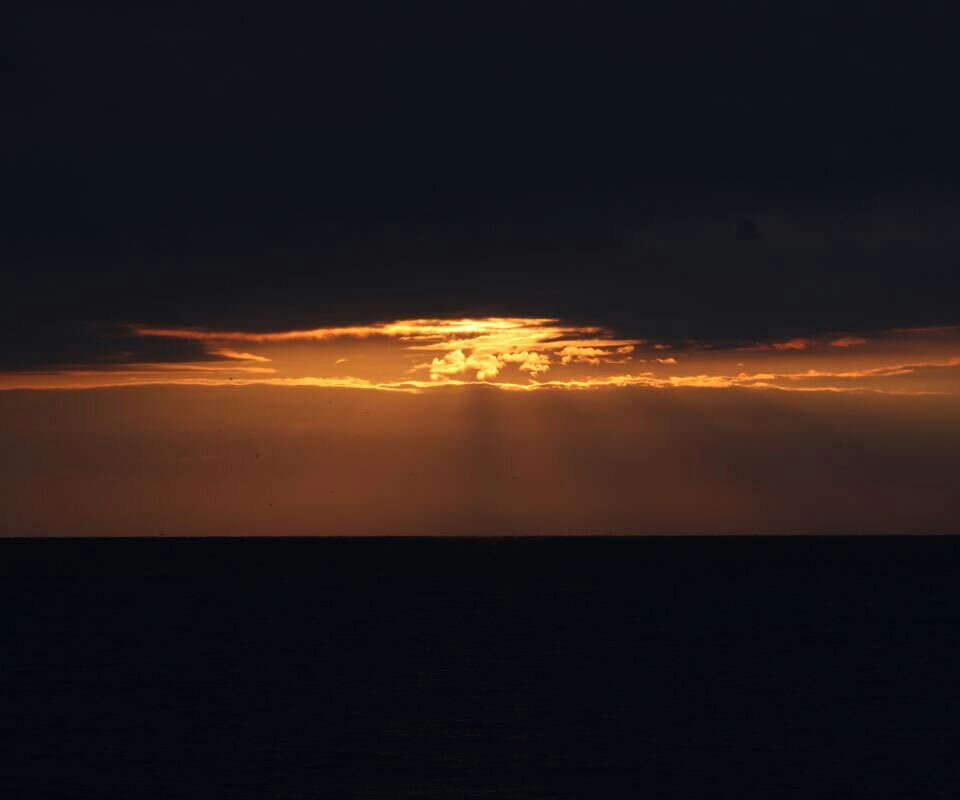 15292.jpg - Voltz1975