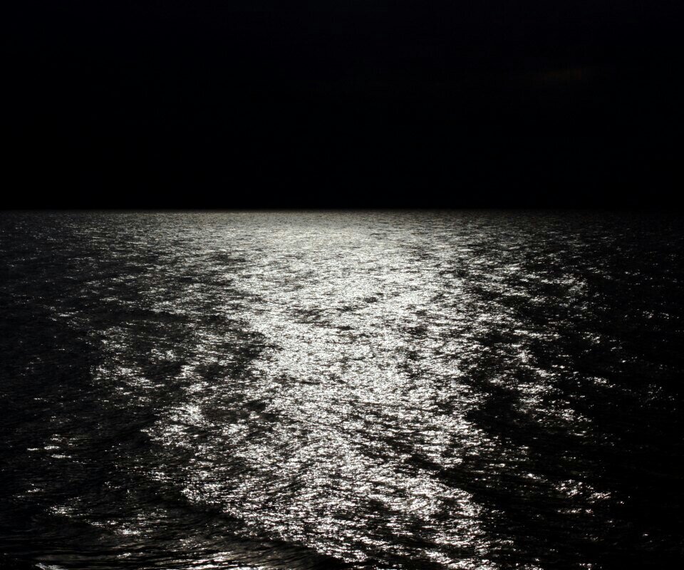 1450.jpg - Voltz1975