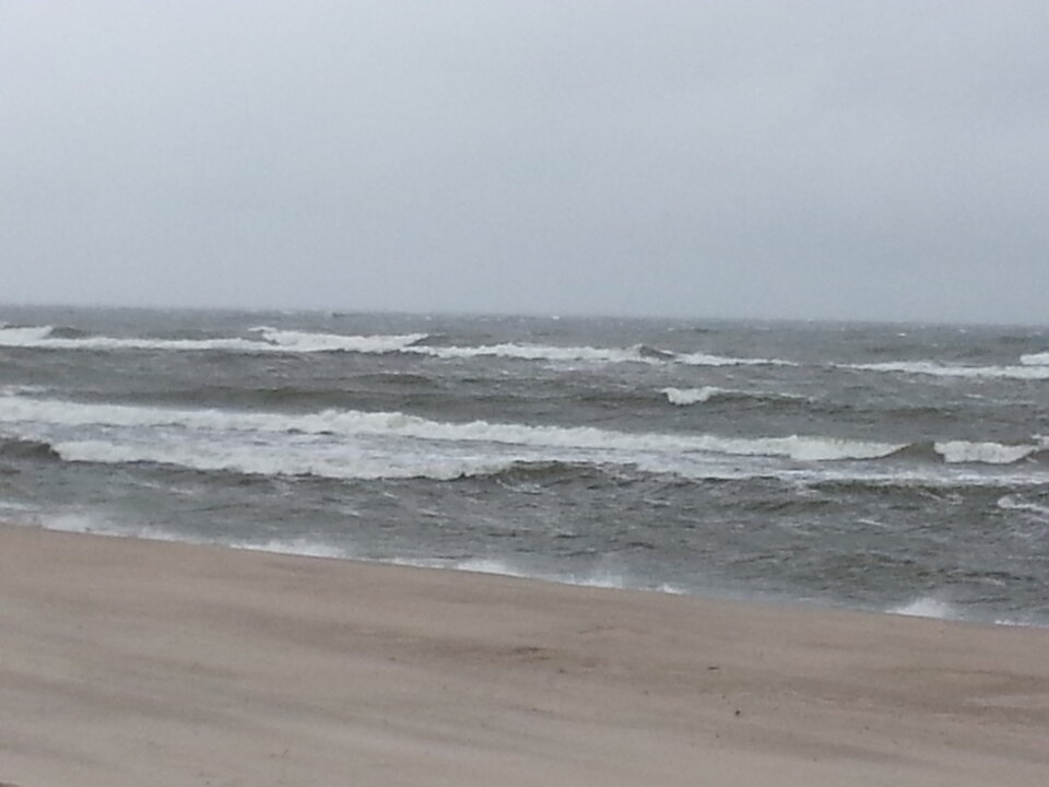 20130902_124906.jpg - Voltz1975