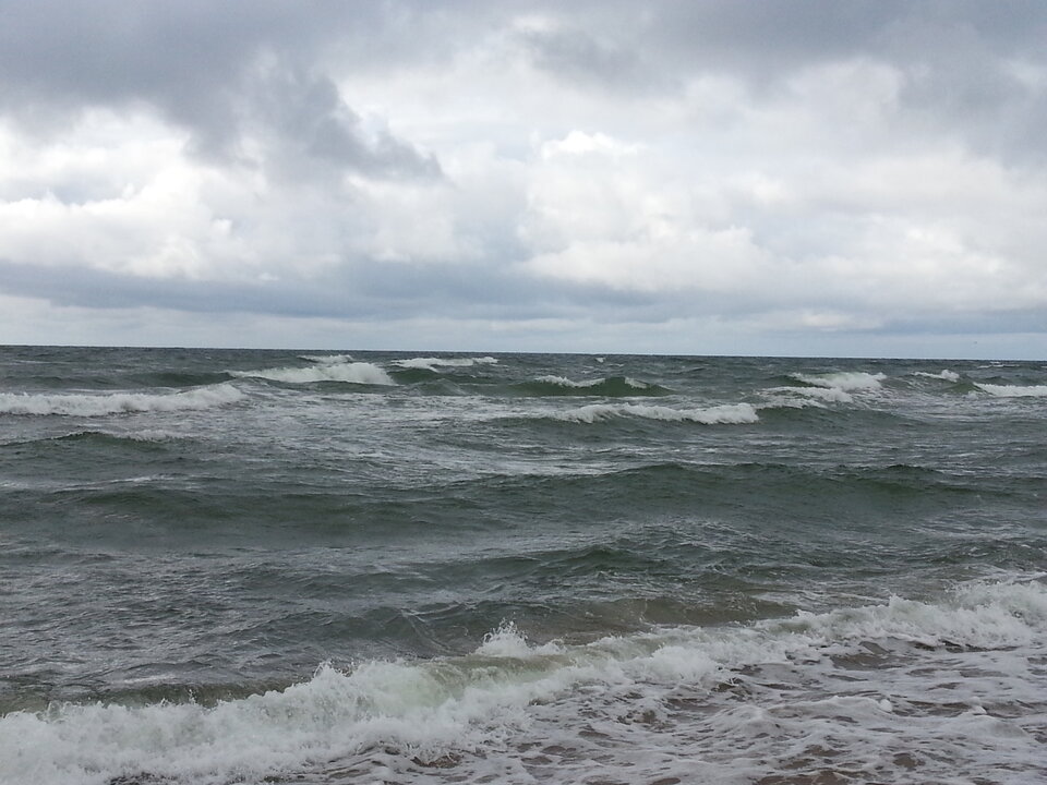 20140805_171829.jpg - Voltz1975