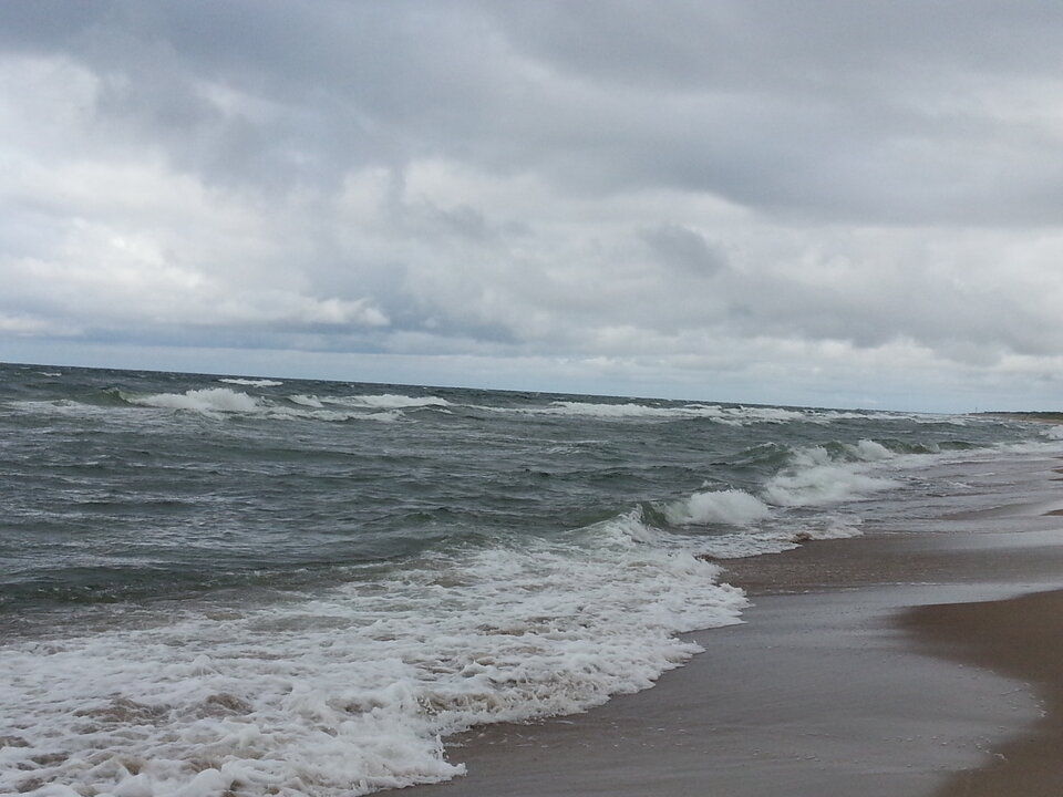 20140805_171826.jpg - Voltz1975