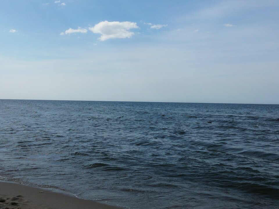 20150822_141839.jpg - Voltz1975