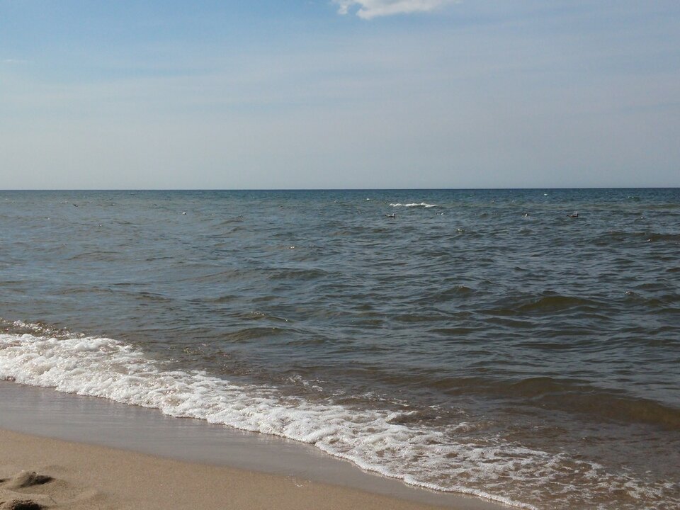 20150822_142121.jpg - Voltz1975