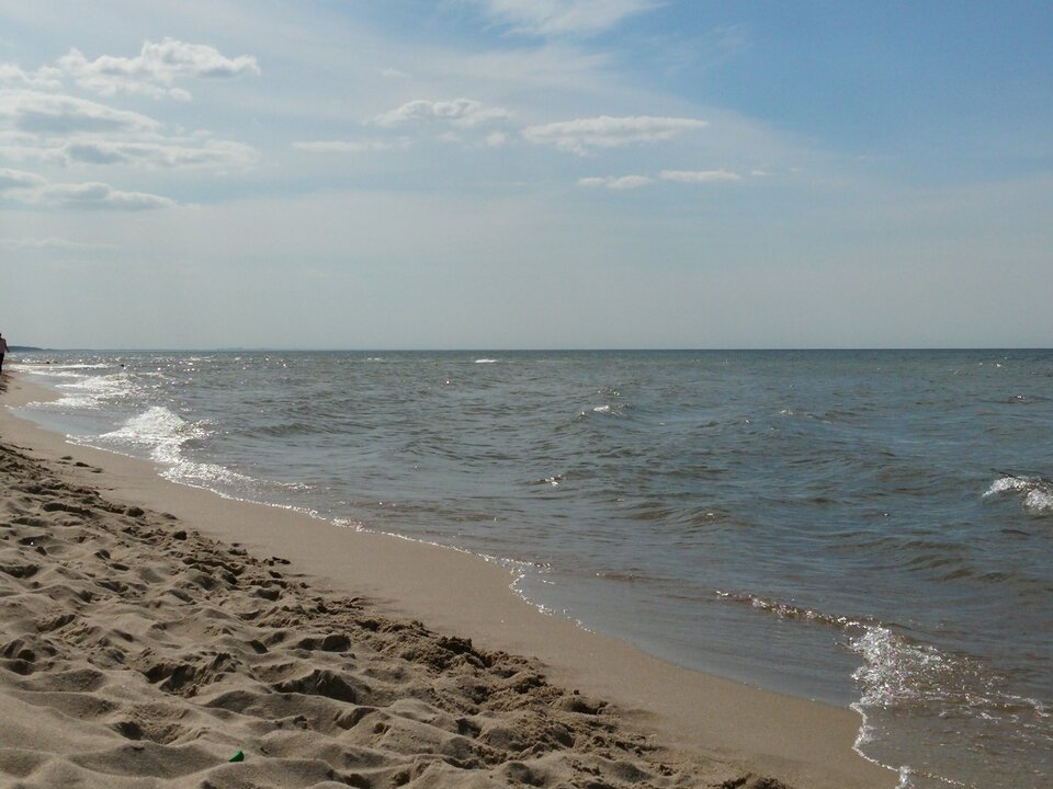 20150822_142113.jpg - Voltz1975