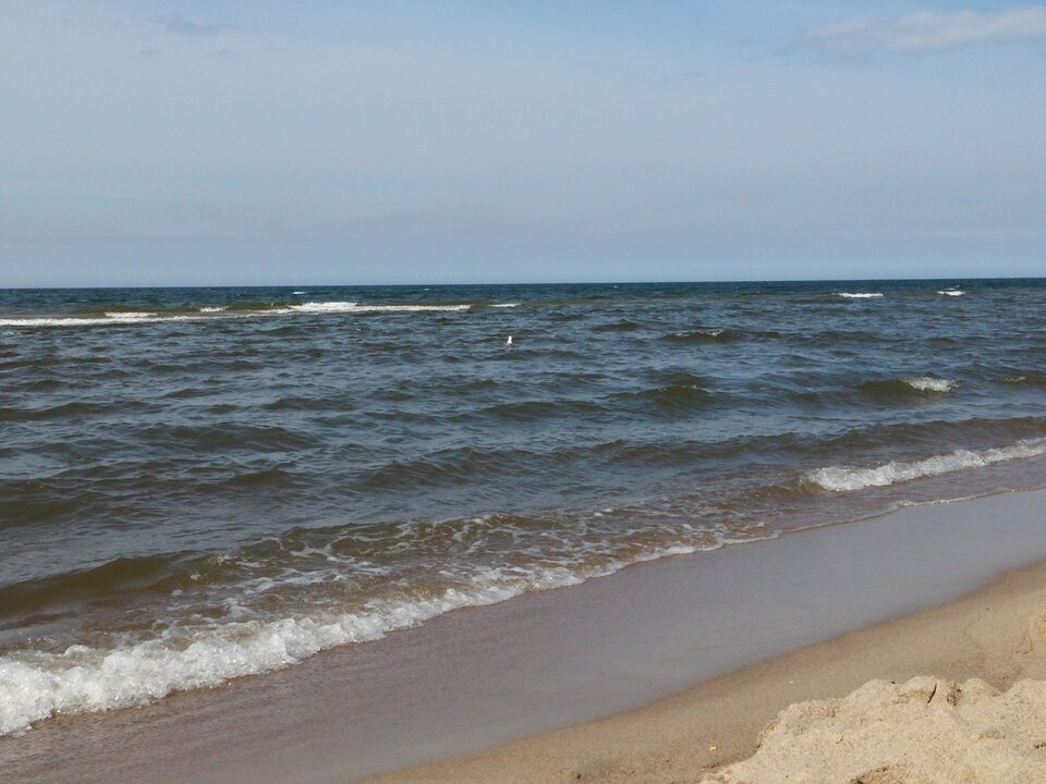 20150822_142125.jpg - Voltz1975