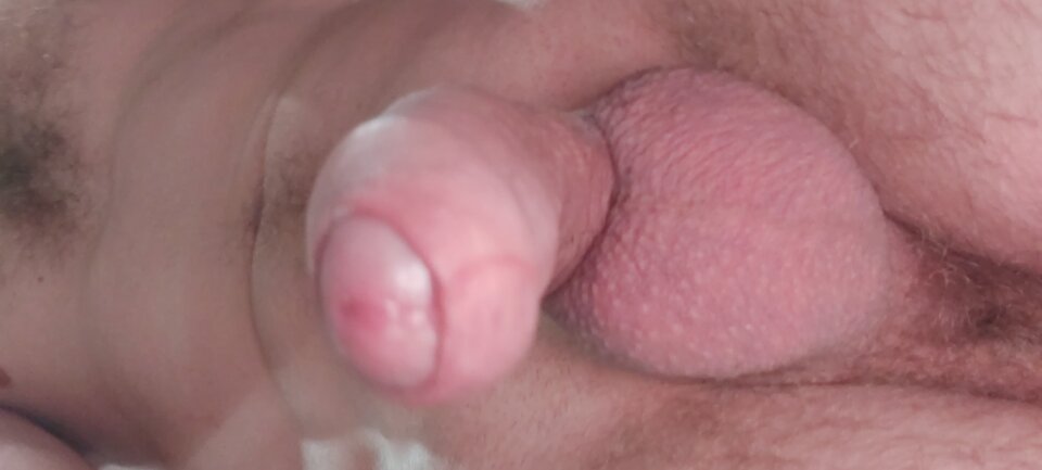 16046390622393760300485970818204.jpg - bialy198